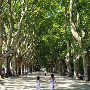 Meet your Posher, Susan